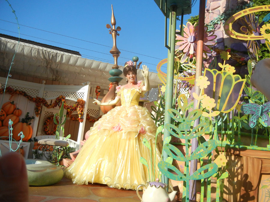 Disneyland Parade in the Day